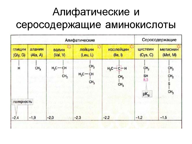 Алифатические и серосодержащие аминокислоты